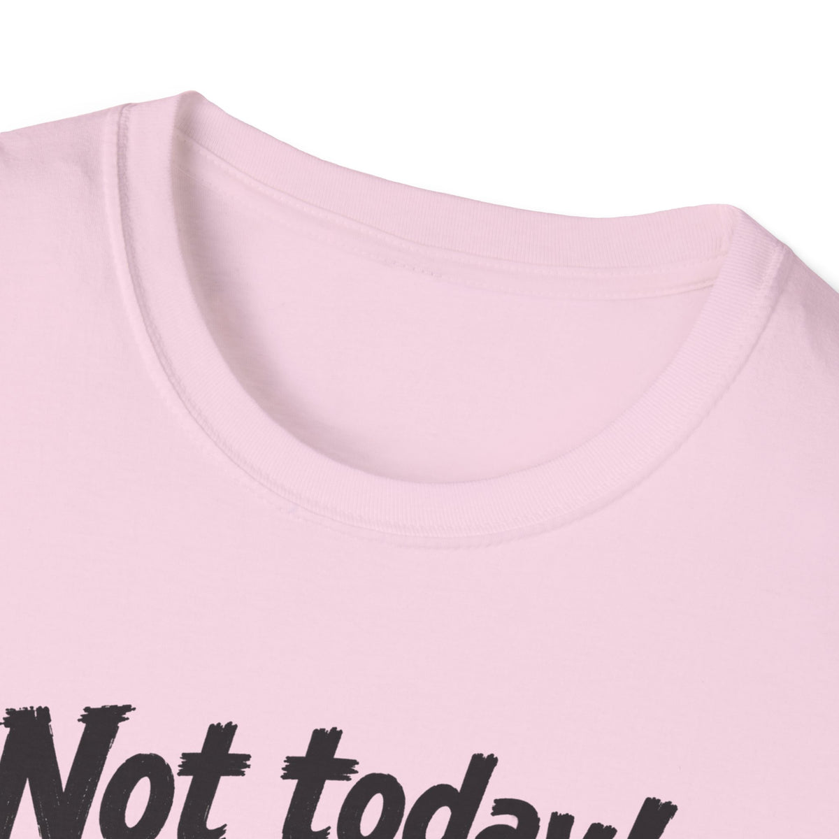 Not Today ICE! T-Shirt